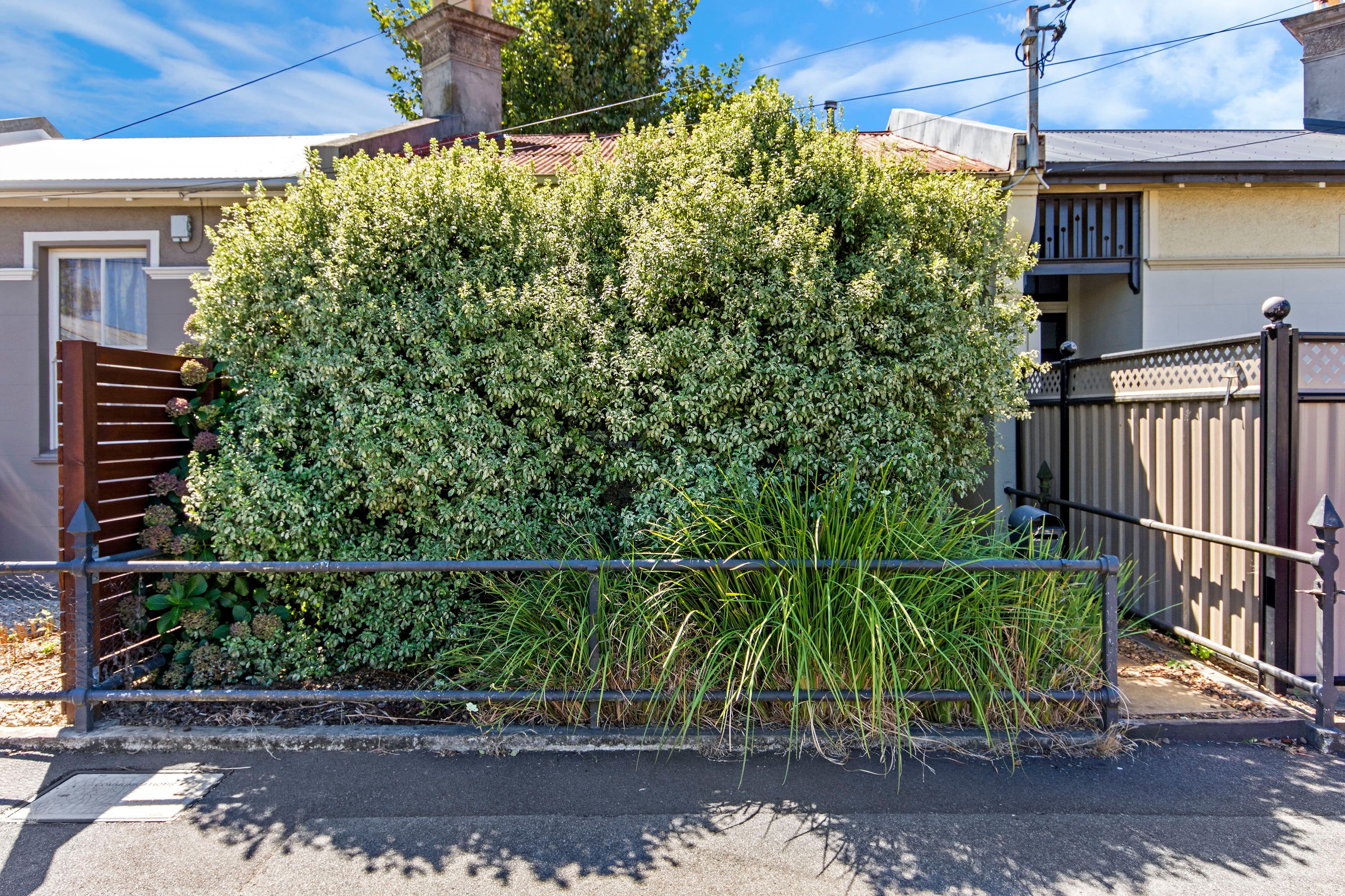 26 Windsor Street, Invermay TAS 7248, Invermay - Thumbnail 2