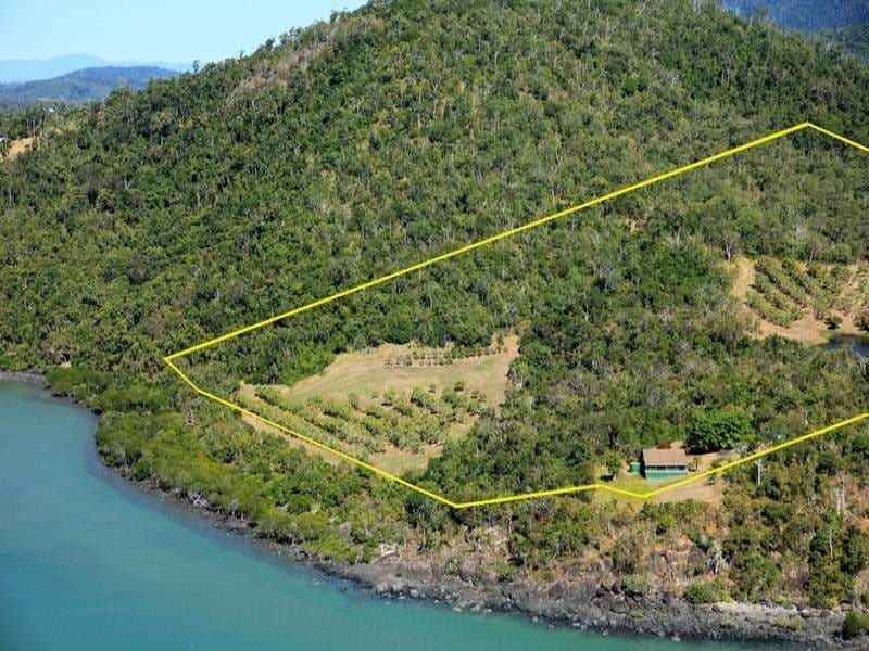 Lot 2 Pringle Road, CANNONVALE QLD 4802, Cannonvale - Thumbnail 2