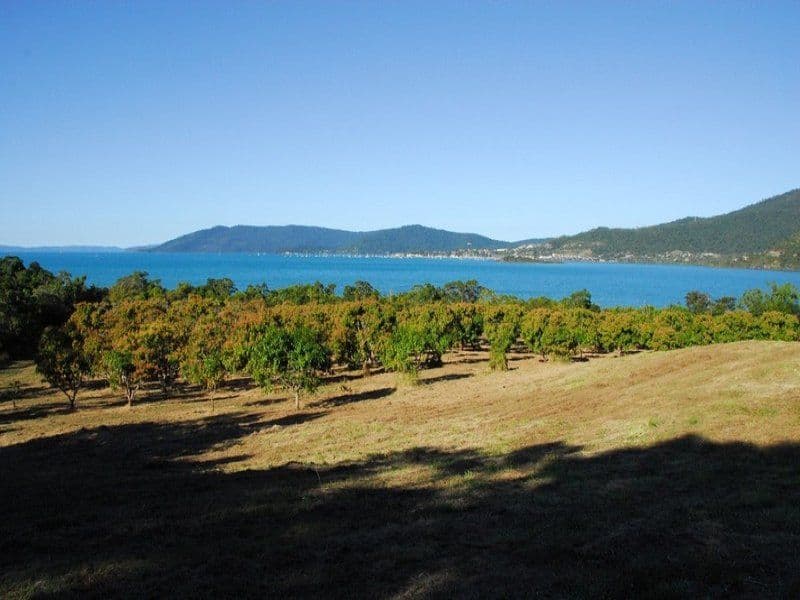 Lot 2 Pringle Road, CANNONVALE QLD 4802, Cannonvale - Thumbnail 3