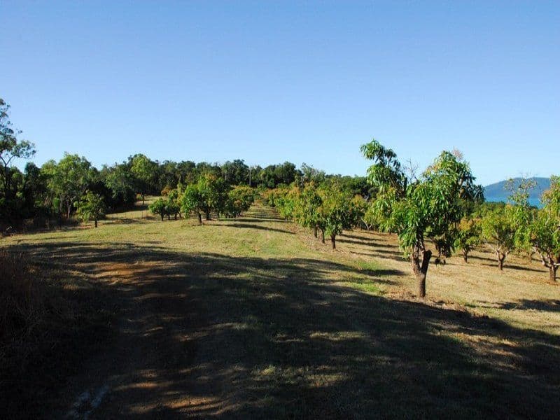 Lot 2 Pringle Road, CANNONVALE QLD 4802, Cannonvale - Thumbnail 7