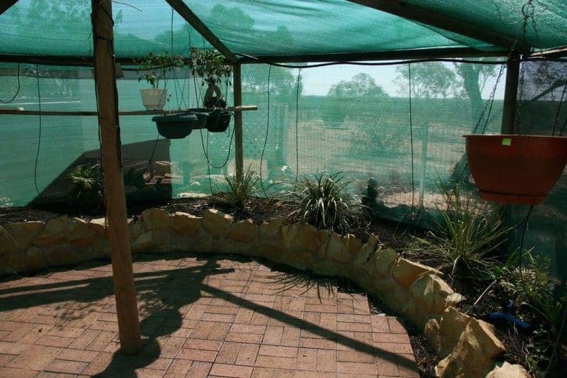 25 Tanko Street, LOXTON SA 5333, Loxton - Thumbnail 8