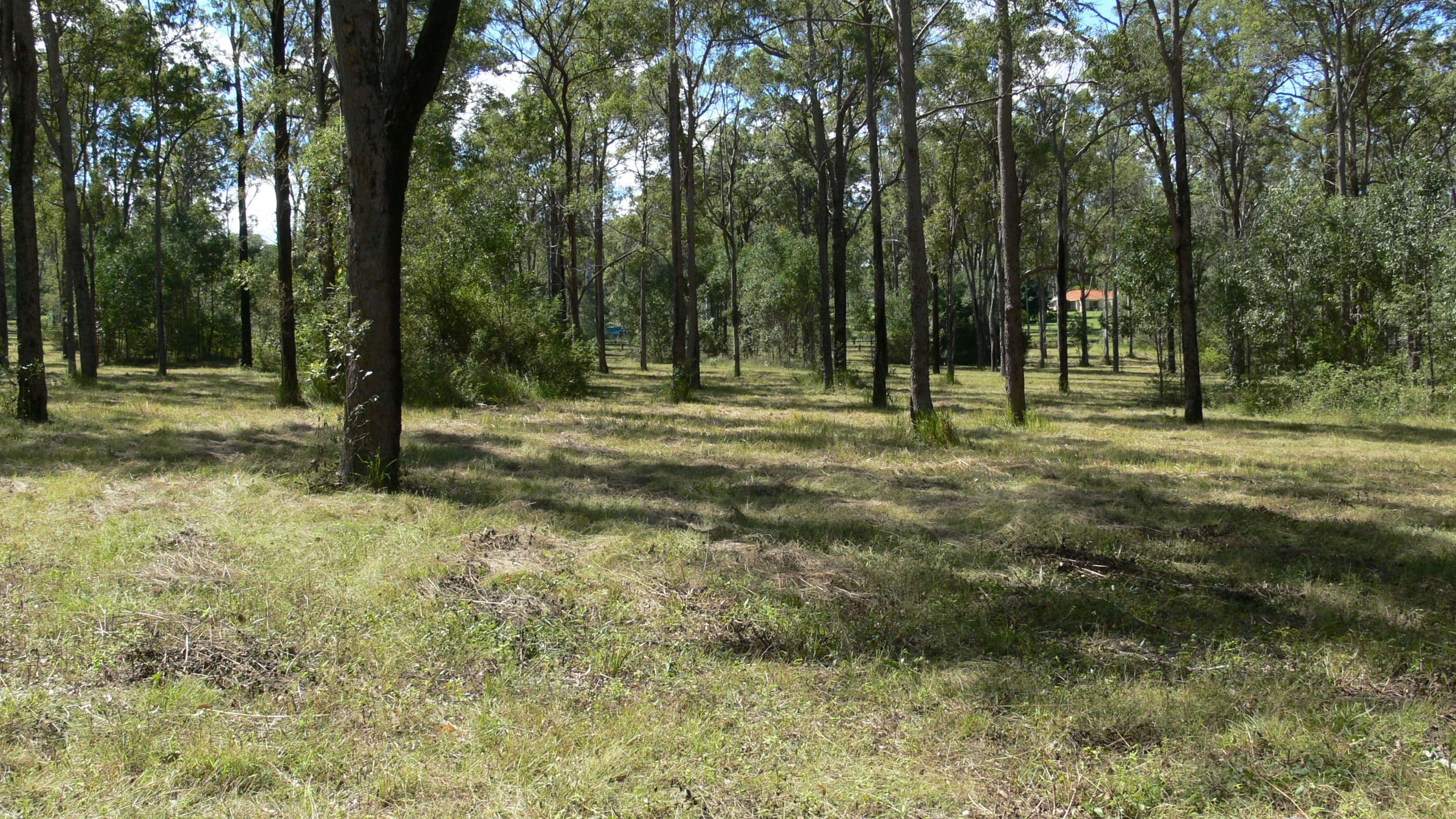 121 Windsor Drive, Mount Hallen QLD 4312, Mount Hallen - Thumbnail 2