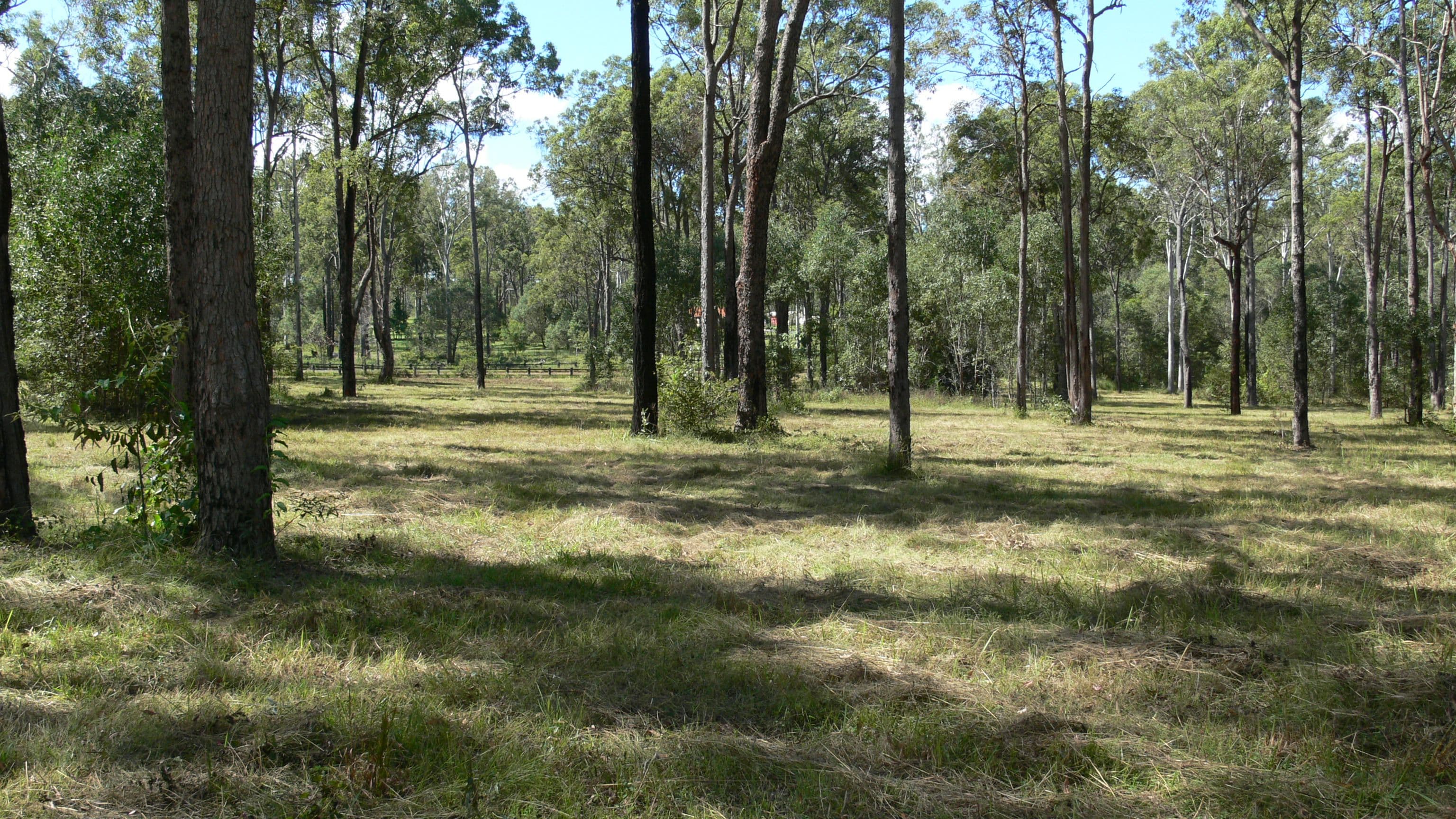 121 Windsor Drive, Mount Hallen QLD 4312, Mount Hallen - Thumbnail 4