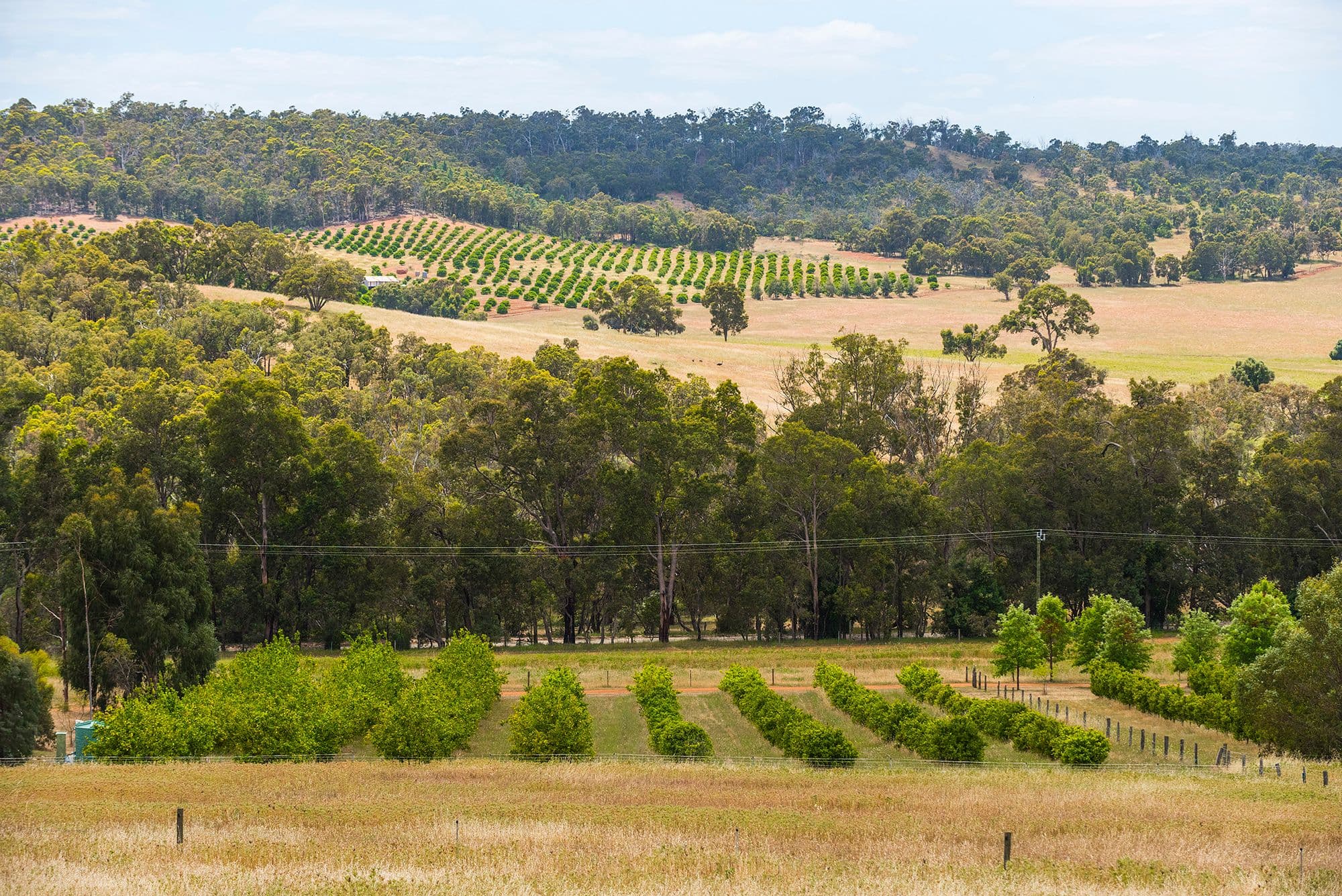 641 Chittering Valley Road, Lower Chittering WA 6084, Lower Chittering - Thumbnail 2