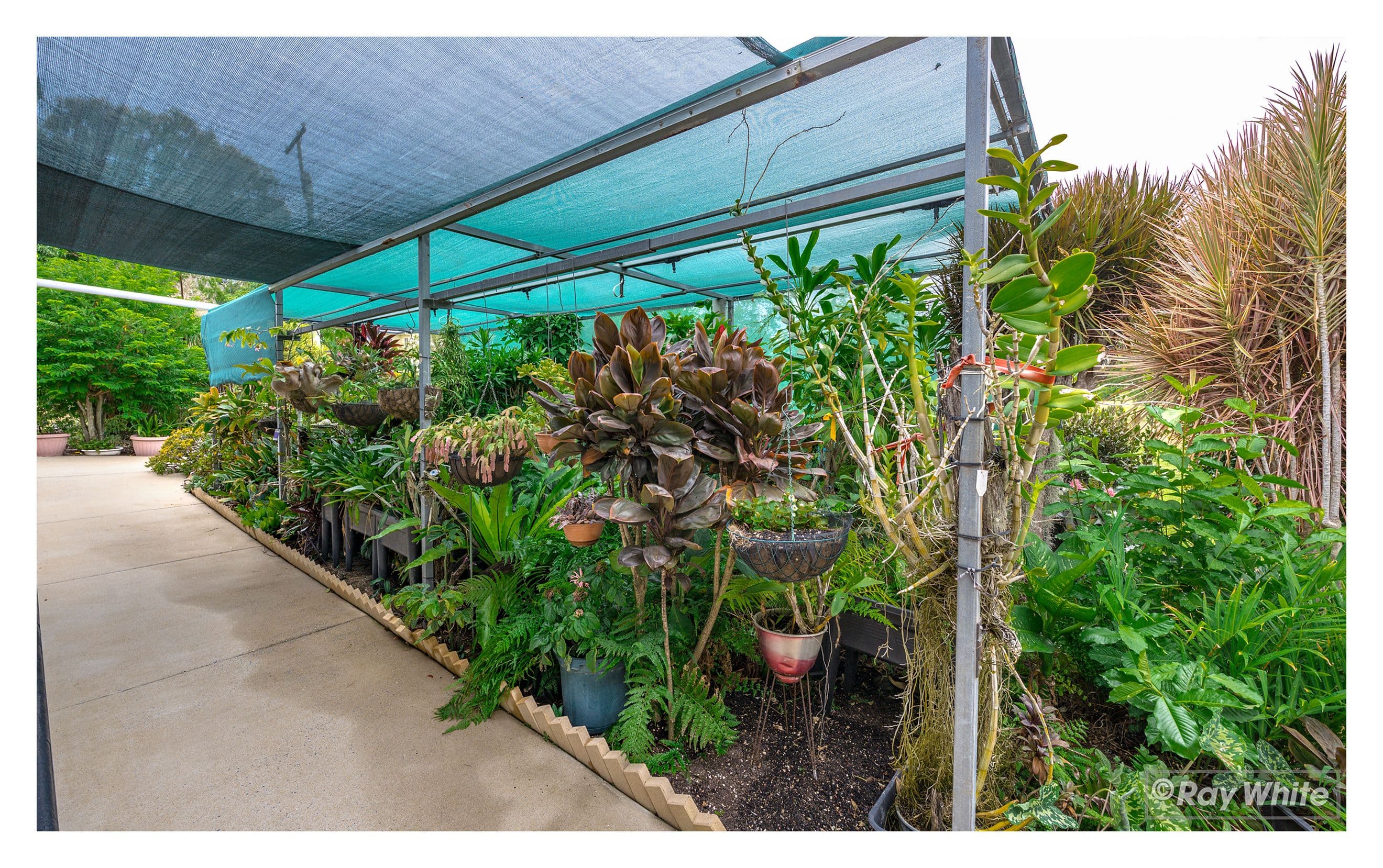 21 Blackall Street, The Range QLD 4700, The Range - Thumbnail 4