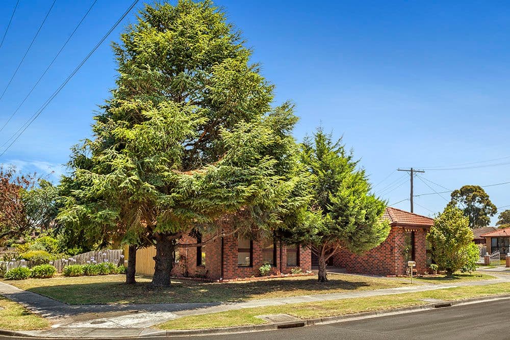 9 Nettelbeck Road, CLAYTON SOUTH VIC 3169, Clayton South - Thumbnail 6