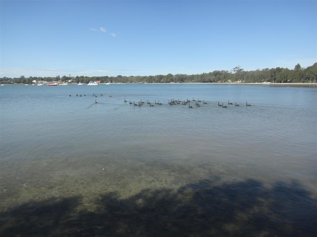 40 Admiralty Avenue, TANILBA BAY NSW 2319, Tanilba Bay - Thumbnail 6