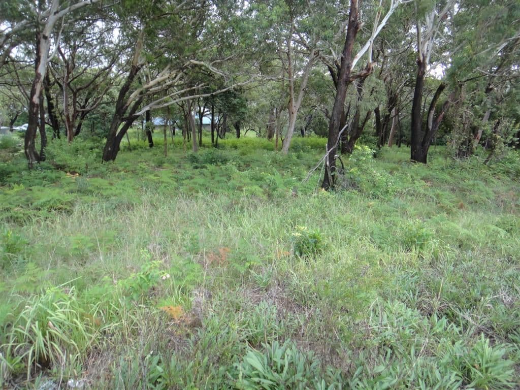 73 Blanch Street, BOAT HARBOUR NSW 2316, Boat Harbour - Thumbnail 2