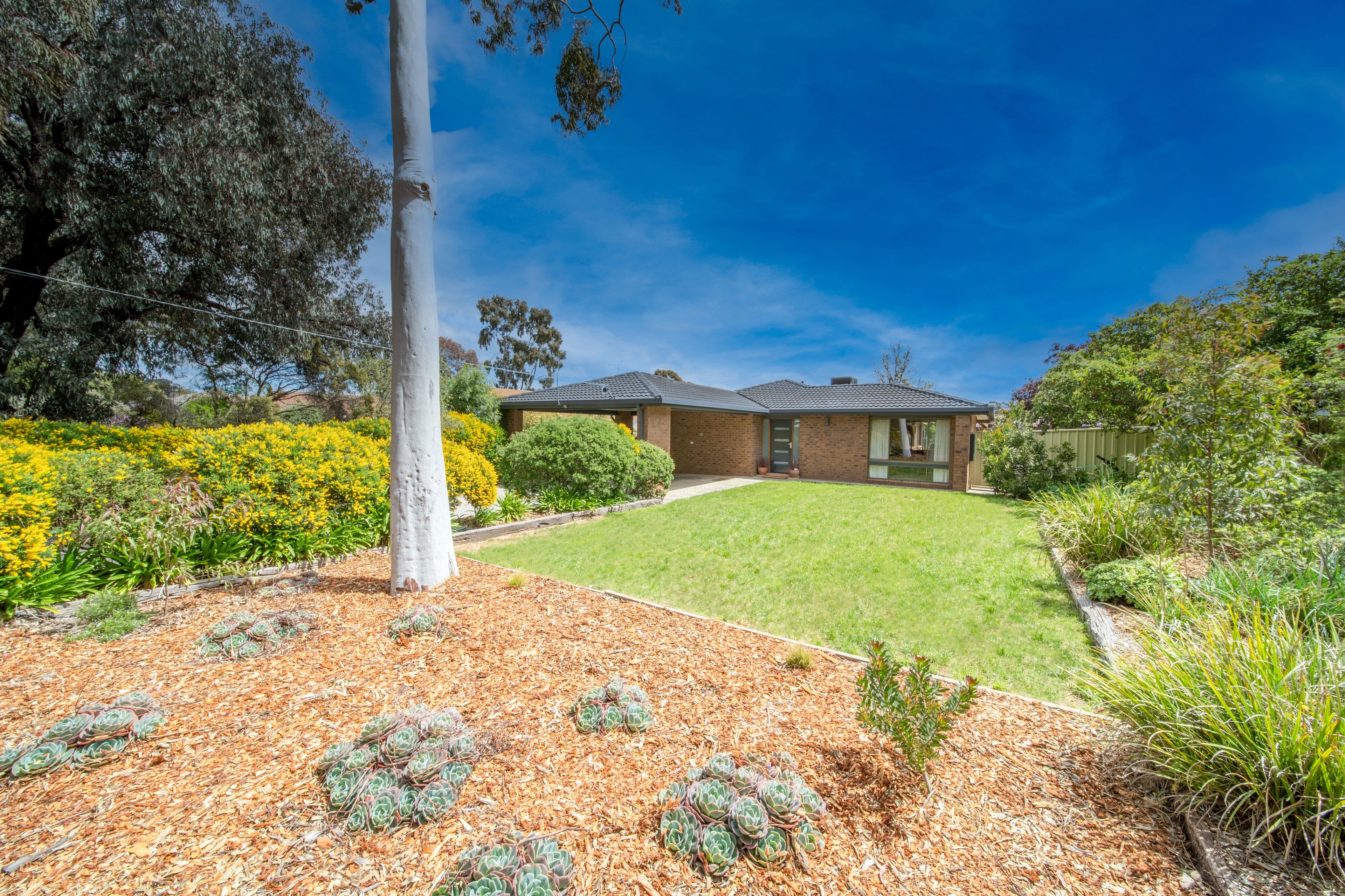 99 Harley Street, Strathdale VIC 3550, Strathdale - Image 1