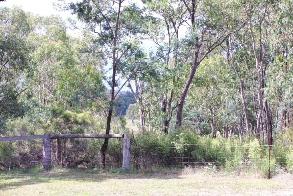 42 Borrowpit Road, Meadow Flat NSW 2795, Meadow Flat - Thumbnail 3