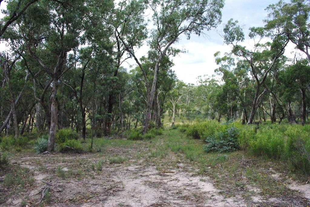42 Borrowpit Road, Meadow Flat NSW 2795, Meadow Flat - Thumbnail 4