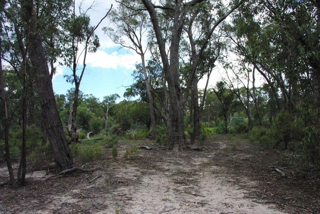 42 Borrowpit Road, Meadow Flat NSW 2795, Meadow Flat - Thumbnail 5