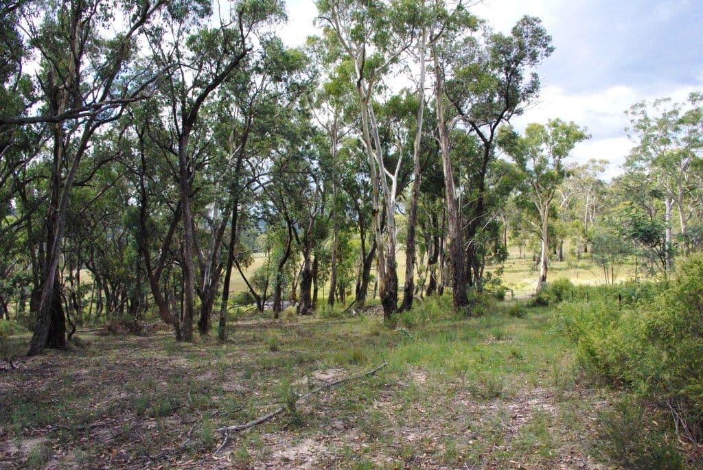 42 Borrowpit Road, Meadow Flat NSW 2795, Meadow Flat - Thumbnail 6