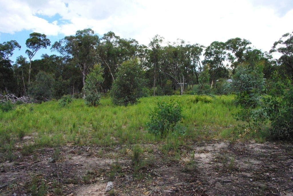 42 Borrowpit Road, Meadow Flat NSW 2795, Meadow Flat - Thumbnail 7