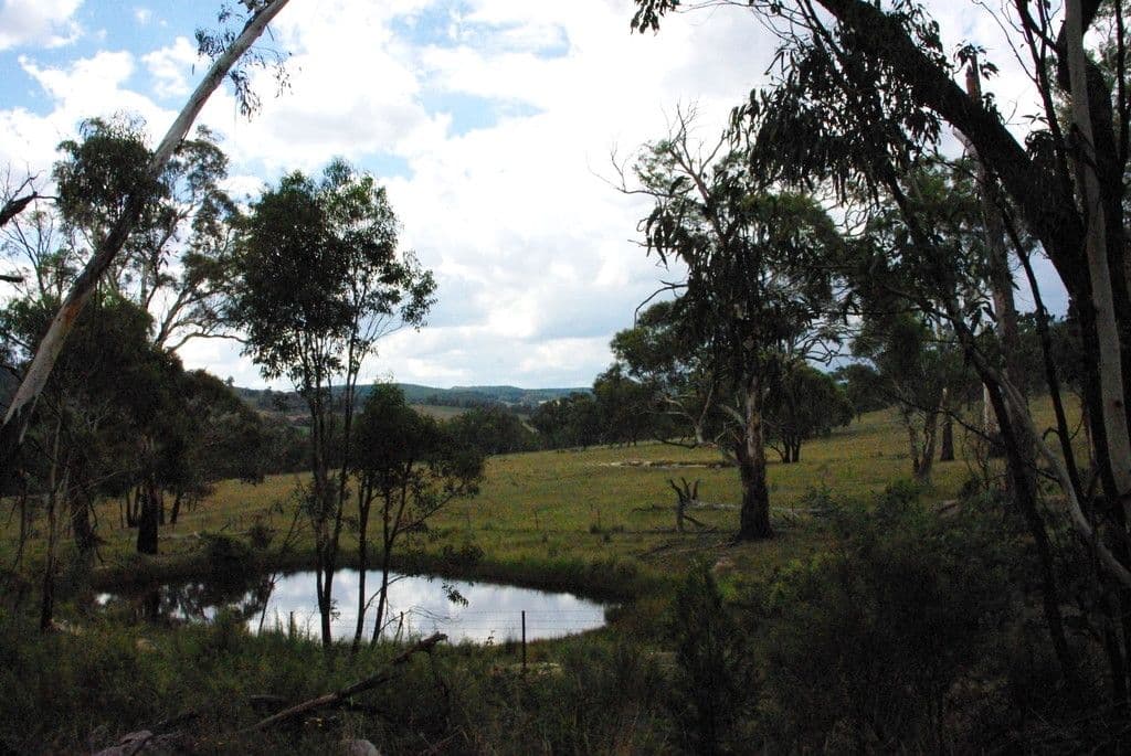 42 Borrowpit Road, Meadow Flat NSW 2795, Meadow Flat - Thumbnail 8