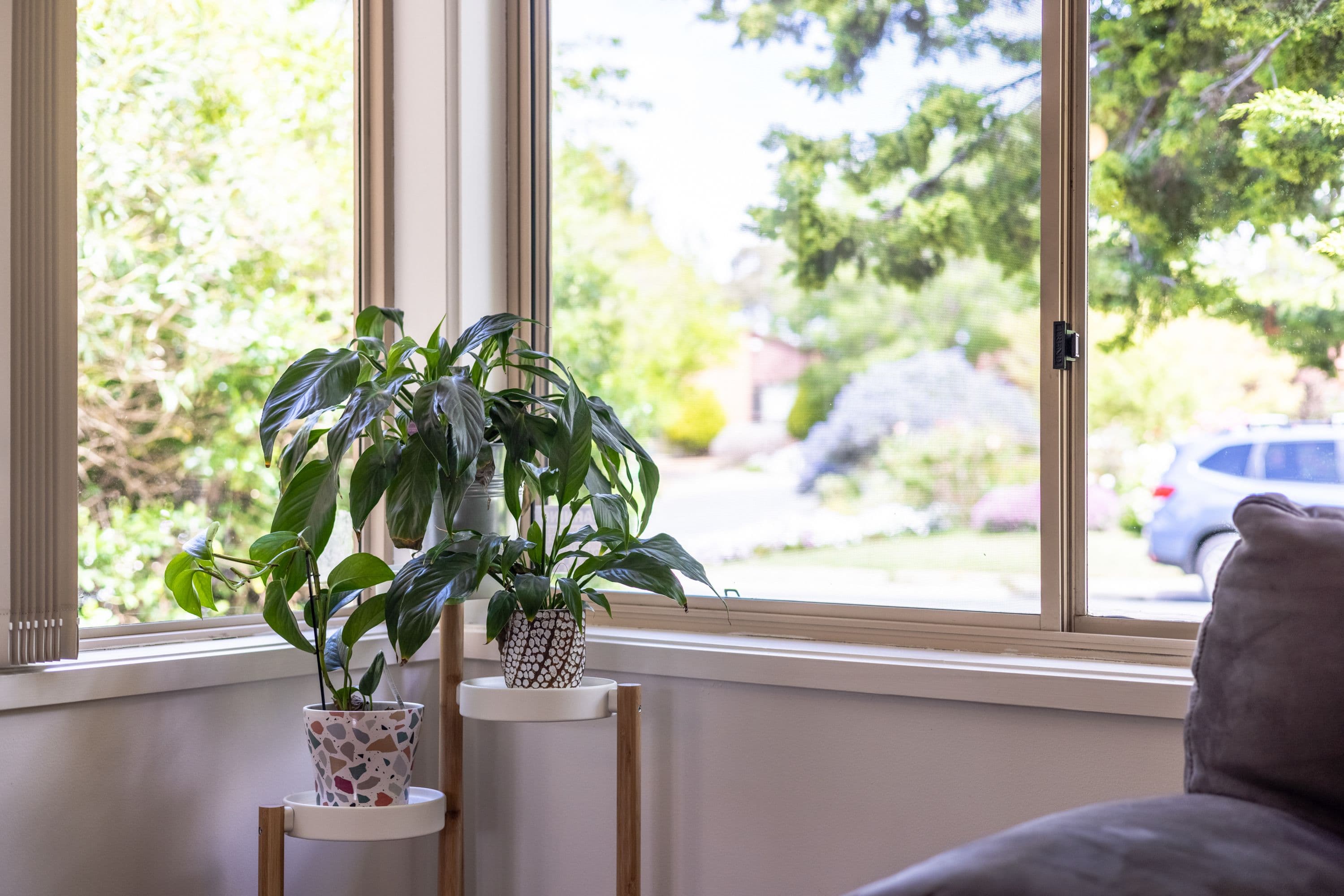 7A Summerville Crescent, Florey ACT 2615, Florey - Thumbnail 6