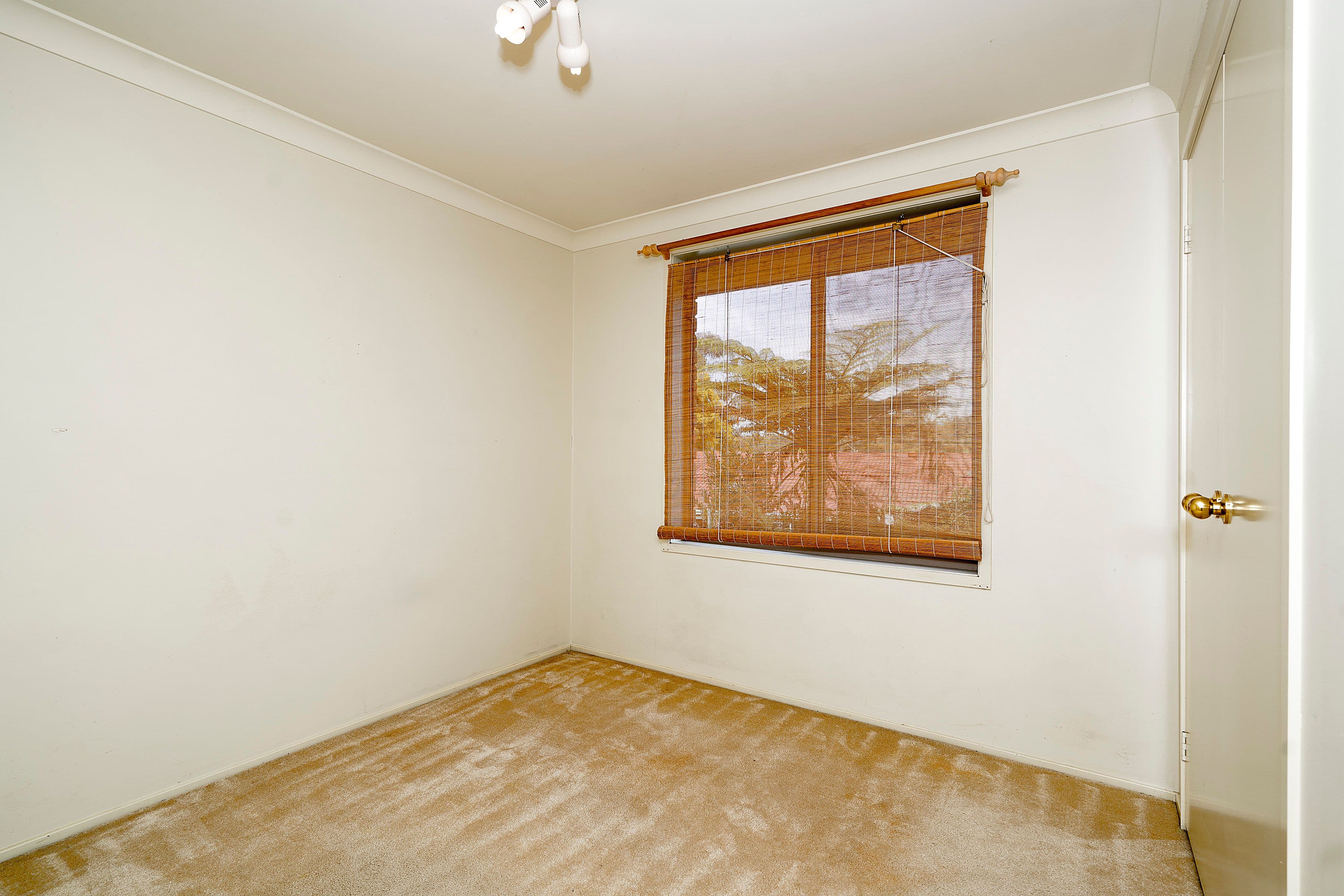11 Jacaranda Close, Cooranbong - Thumbnail 6