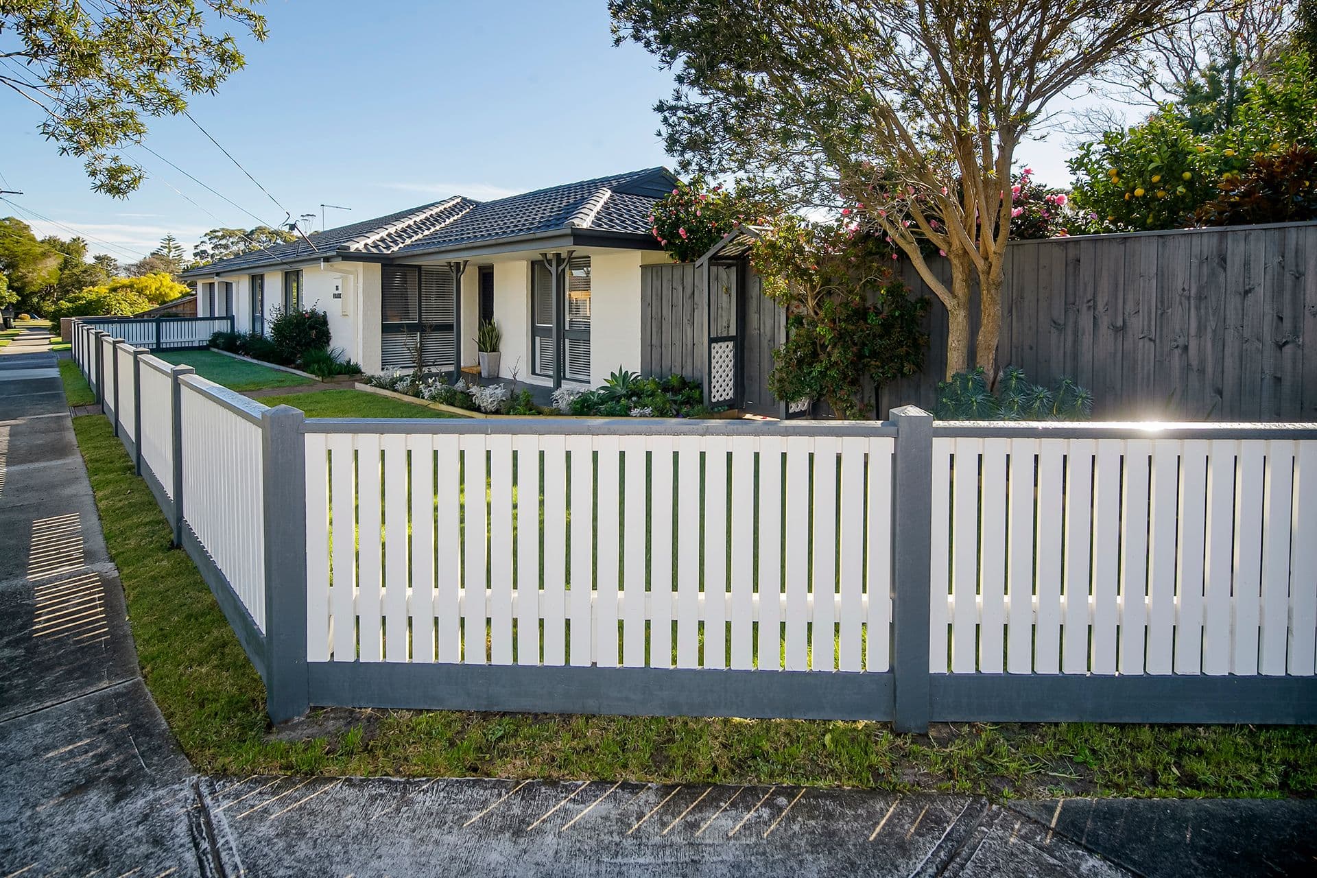 16 Frank Street, Frankston VIC 3199, Frankston - Image 1