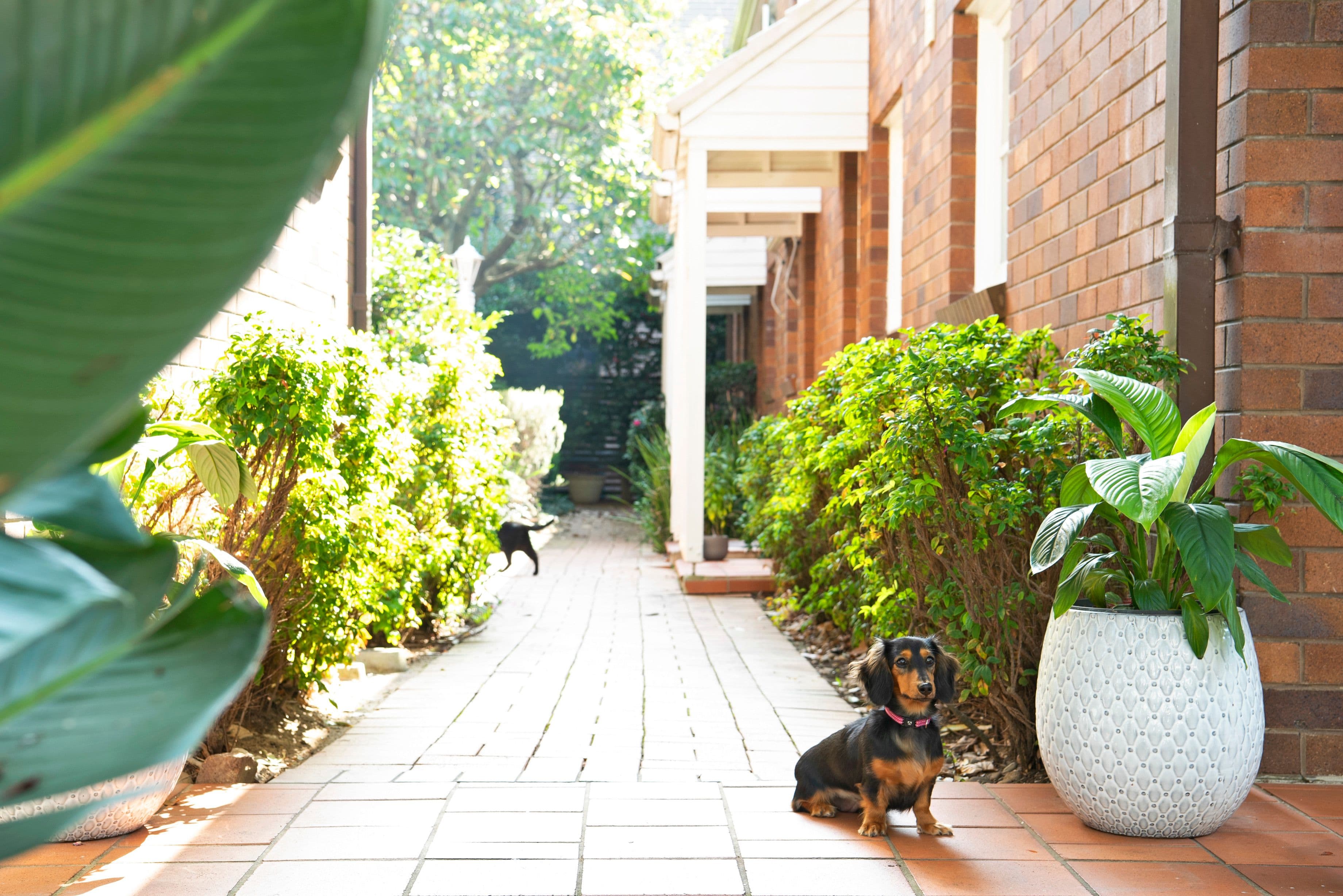 18-20 Greenwich Road, Greenwich NSW 2065, Greenwich - Thumbnail 7