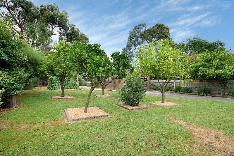 88  Loretto Avenue, FERNTREE GULLY VIC 3156, Ferntree Gully - Thumbnail 7