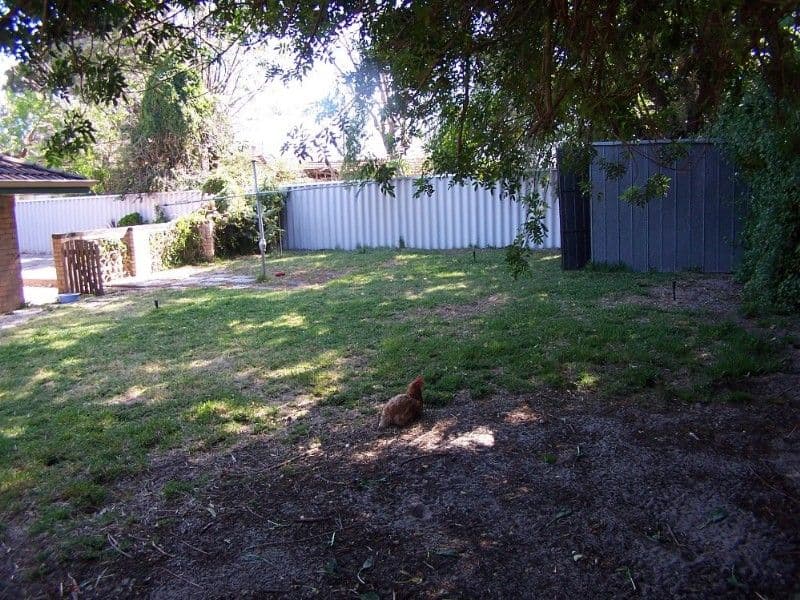 1 Hillcrest Road, KEWDALE WA 6105, Kewdale - Thumbnail 4