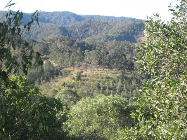 1181 Laceys Creek Road, DAYBORO QLD 4521, Dayboro - Thumbnail 3
