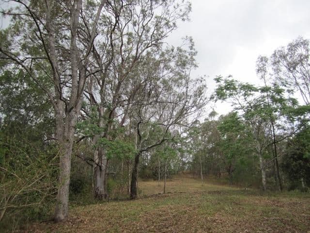 1181 Laceys Creek Road, DAYBORO QLD 4521, Dayboro - Thumbnail 8