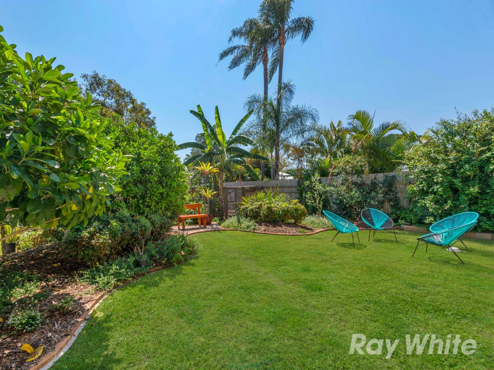 16 Douglas Street, Enoggera QLD 4051, Enoggera - Thumbnail 5