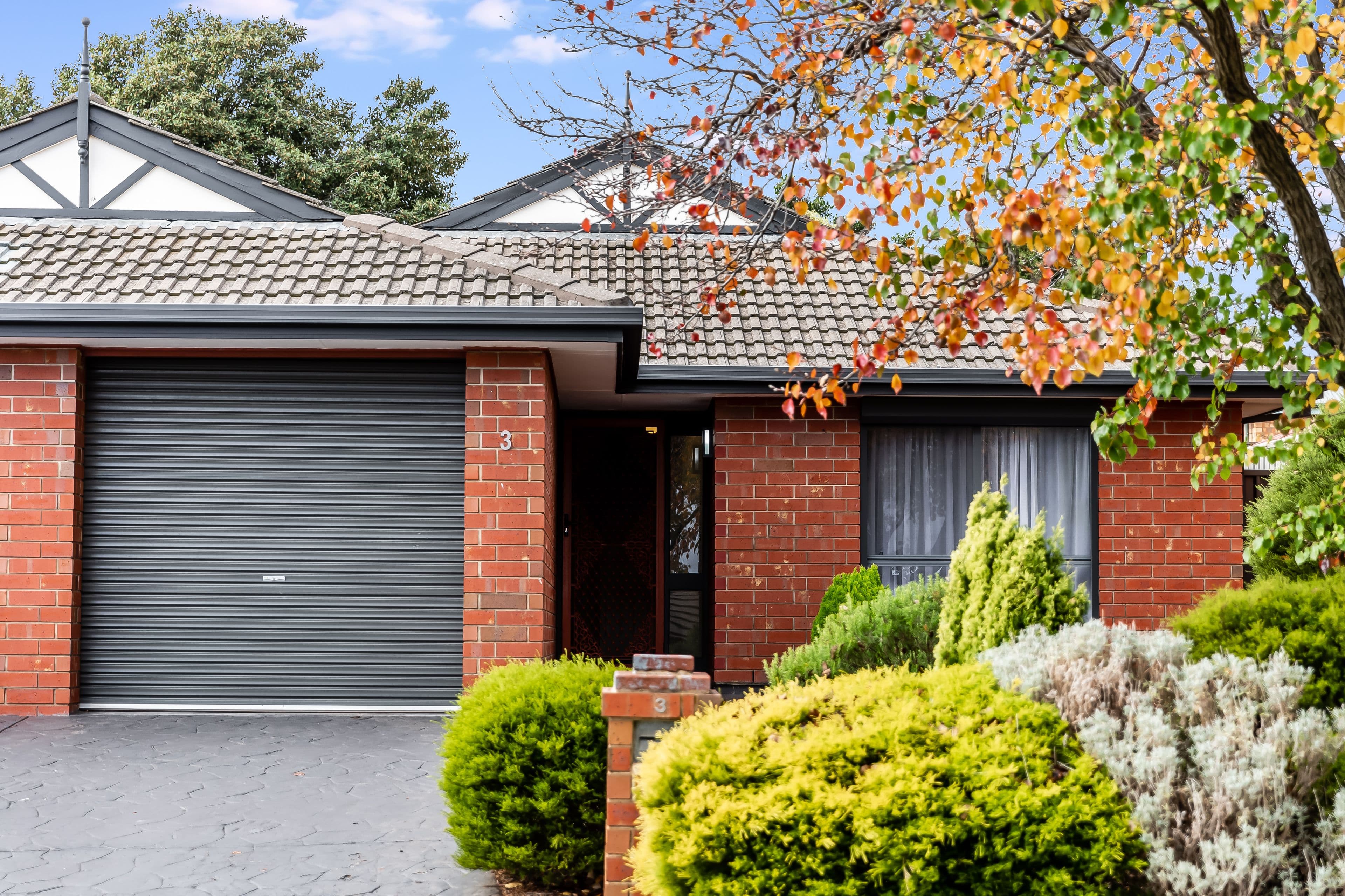 3 Murphy Street, Wynn Vale SA 5127, Wynn Vale - Thumbnail 2