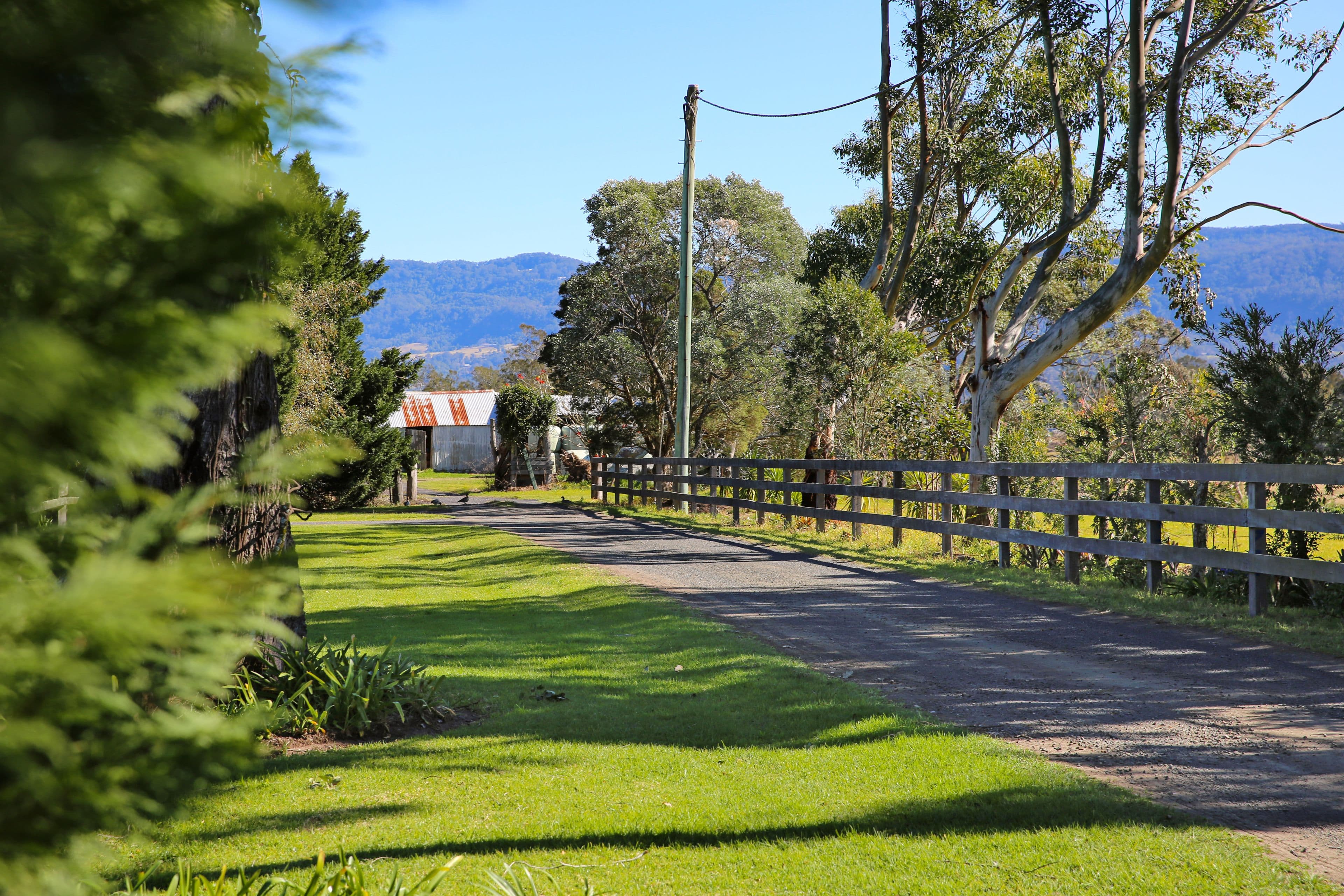 417 Back Forest Road, Far Meadow - Thumbnail 2