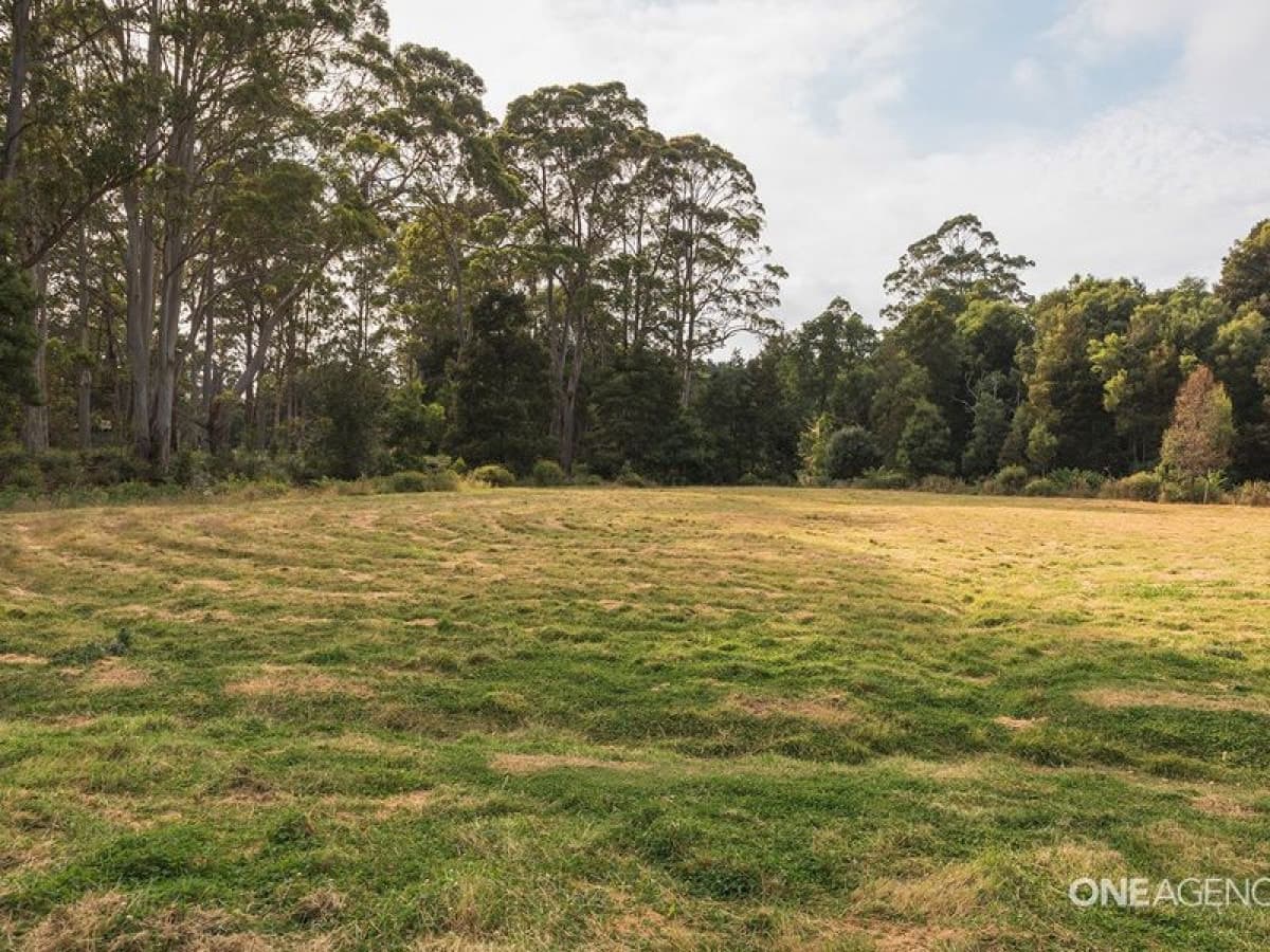 273 Reservoir Drive, Wynyard, Wynyard - Thumbnail 8