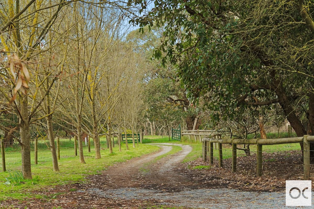 127 Bevan Road, Hope Forest - Thumbnail 3