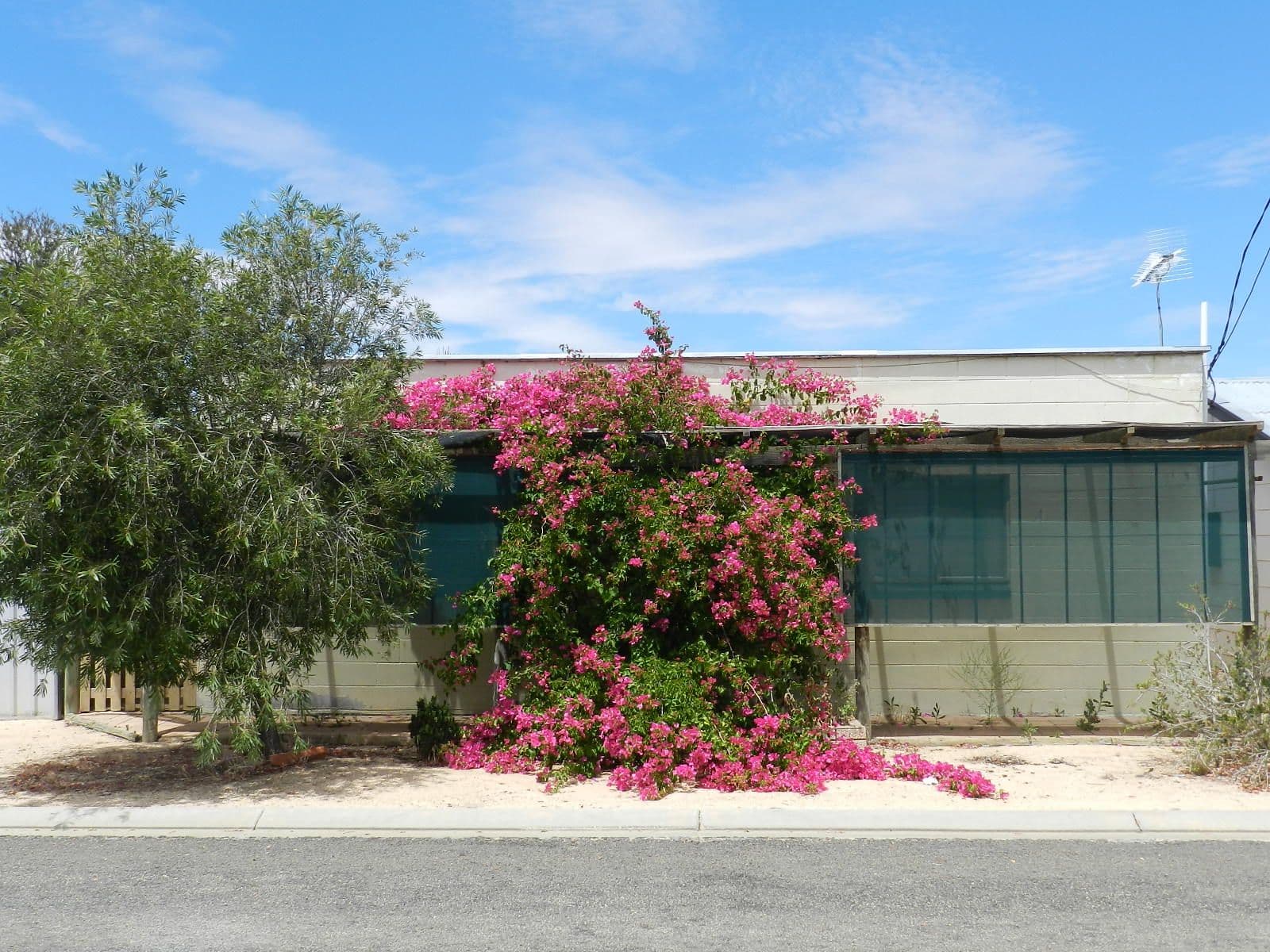 15 Cocksedge Road, BARMERA SA 5345, Barmera - Image 1
