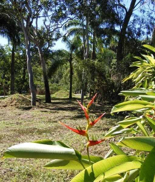 Lot 19 Pringle Road, CANNONVALE QLD 4802, Cannonvale - Thumbnail 2