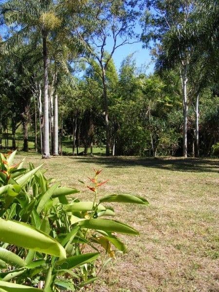 Lot 19 Pringle Road, CANNONVALE QLD 4802, Cannonvale - Thumbnail 4
