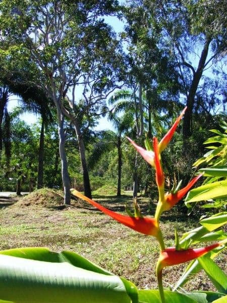 Lot 19 Pringle Road, CANNONVALE QLD 4802, Cannonvale - Thumbnail 5