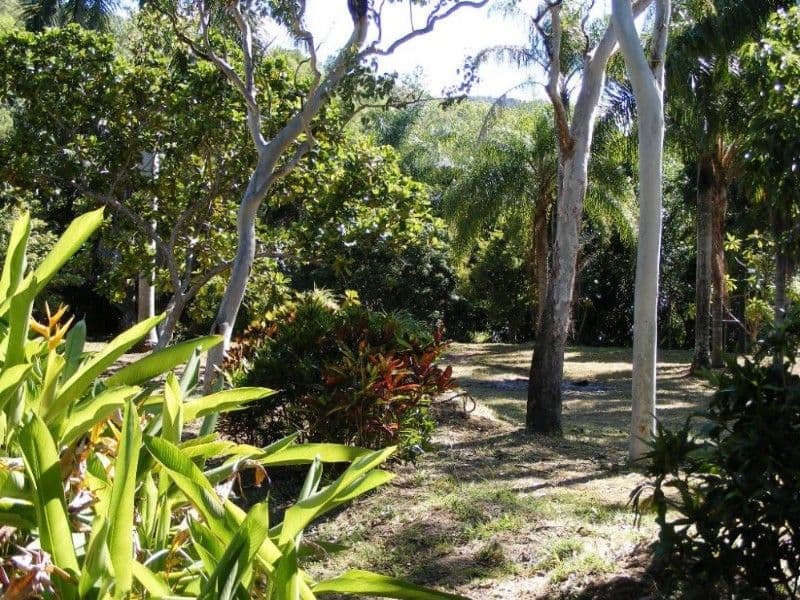 Lot 19 Pringle Road, CANNONVALE QLD 4802, Cannonvale - Thumbnail 6