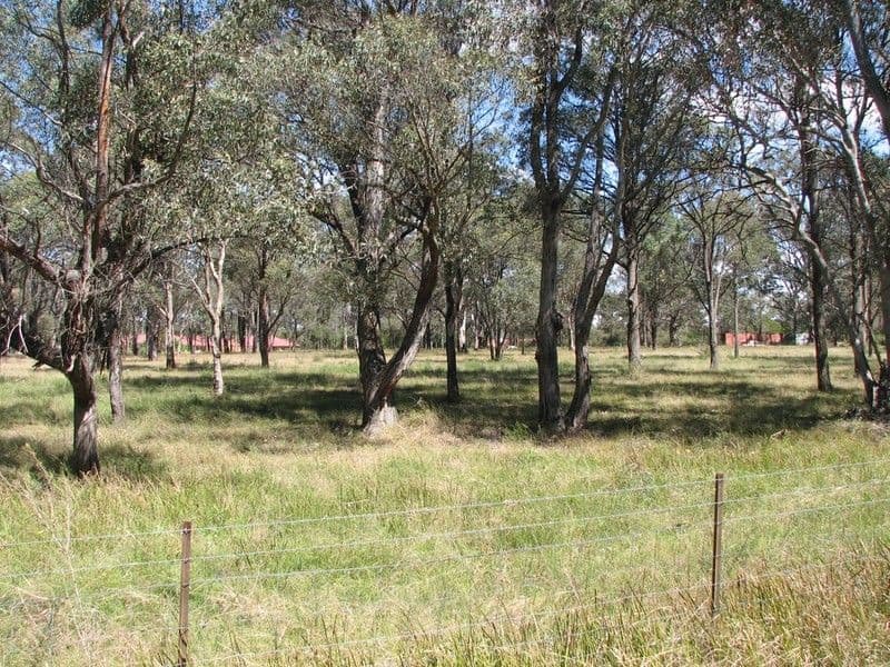 Lot 151 Shelleys Lane, THIRLMERE NSW 2572, Thirlmere - Thumbnail 2