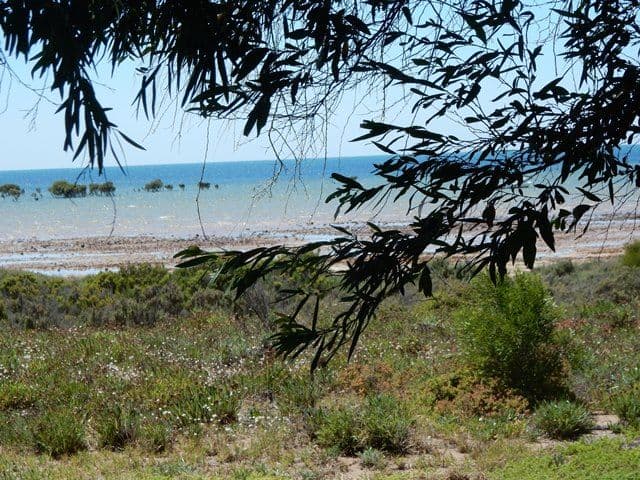 20 The Esplanade, Clinton SA 5570, Clinton - Thumbnail 2