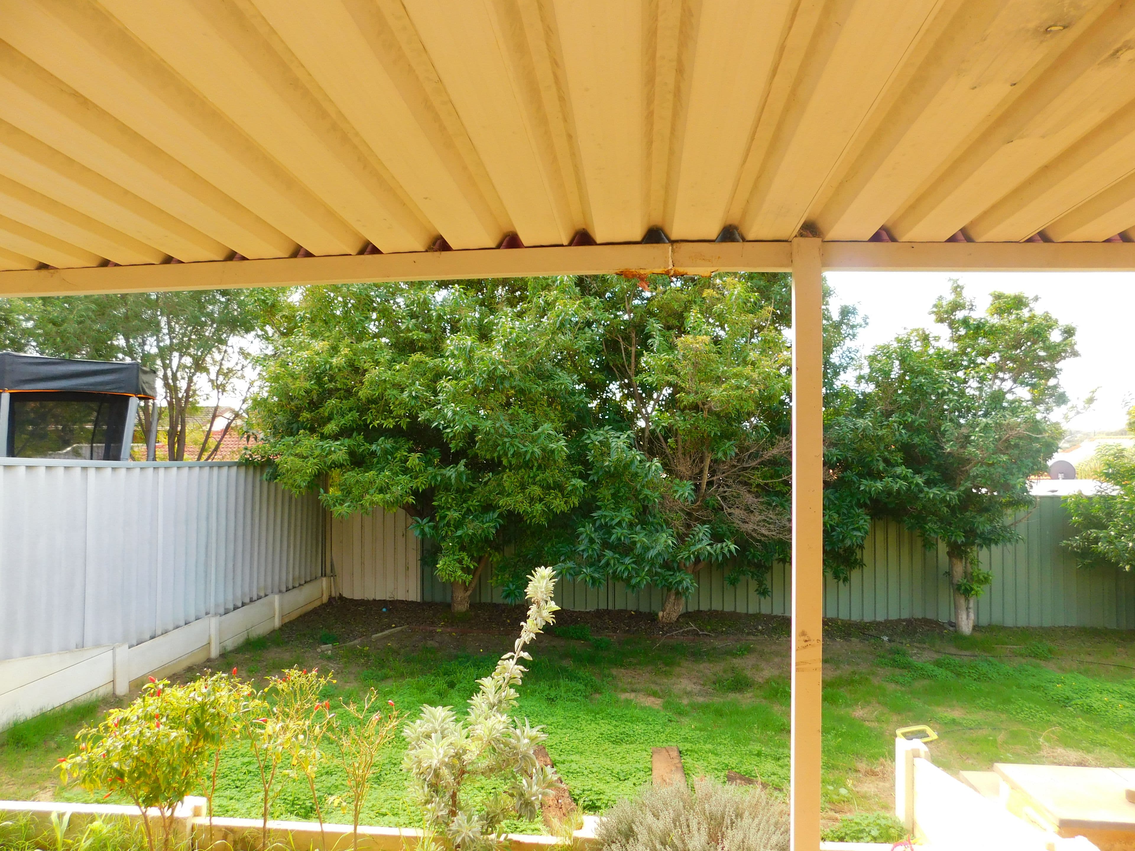 26 Attwood Place, Clarkson WA 6030, Clarkson - Thumbnail 5