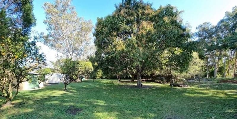 1053 Pumicestone Road, Toorbul - Thumbnail 3