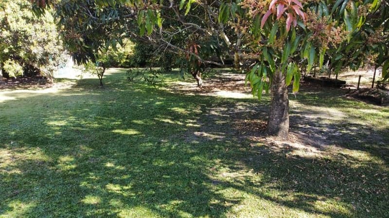 1053 Pumicestone Road, Toorbul - Thumbnail 8