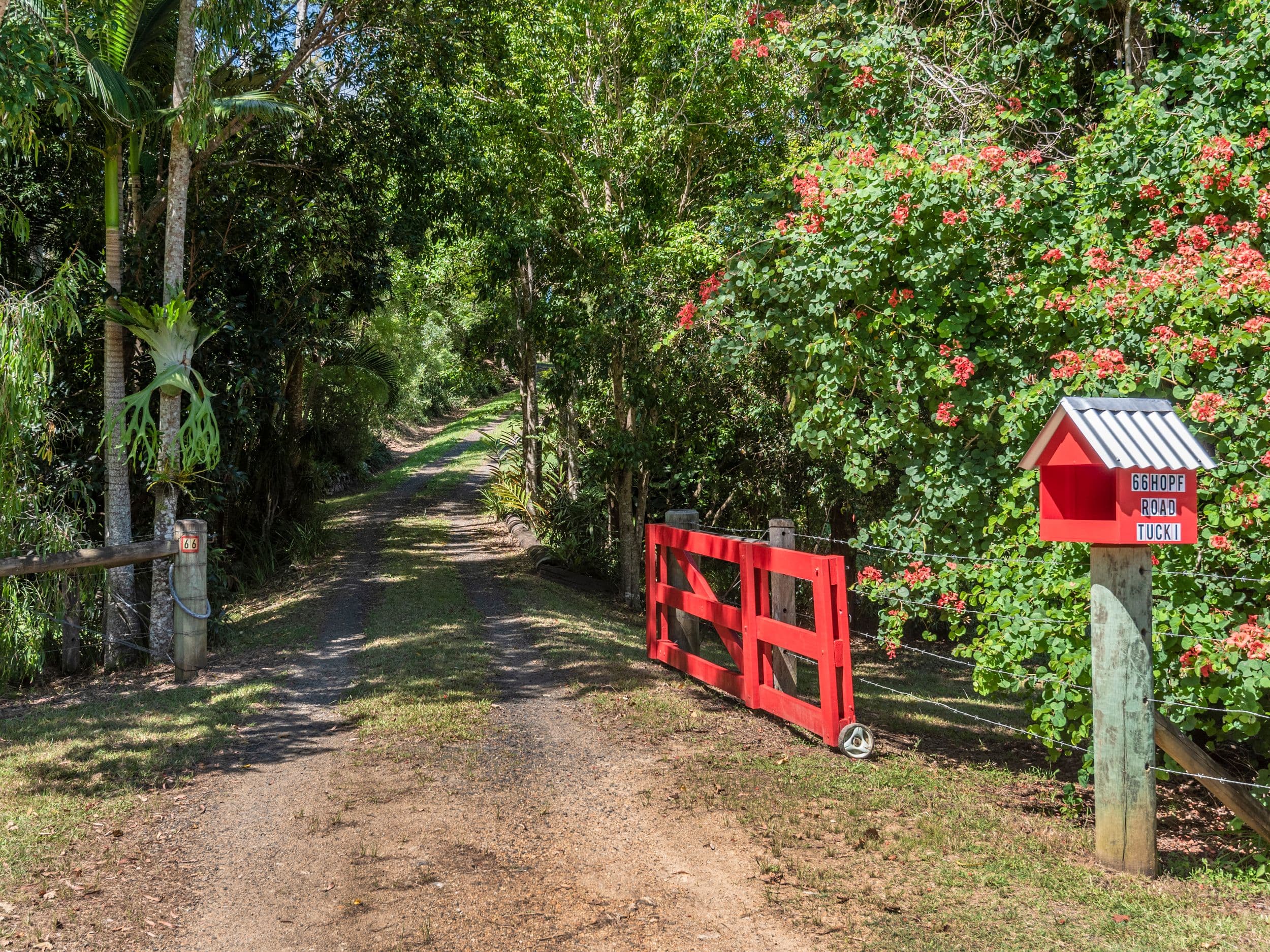 66 Hopf Road, Tucki Tucki NSW 2480, Tucki Tucki - Thumbnail 2