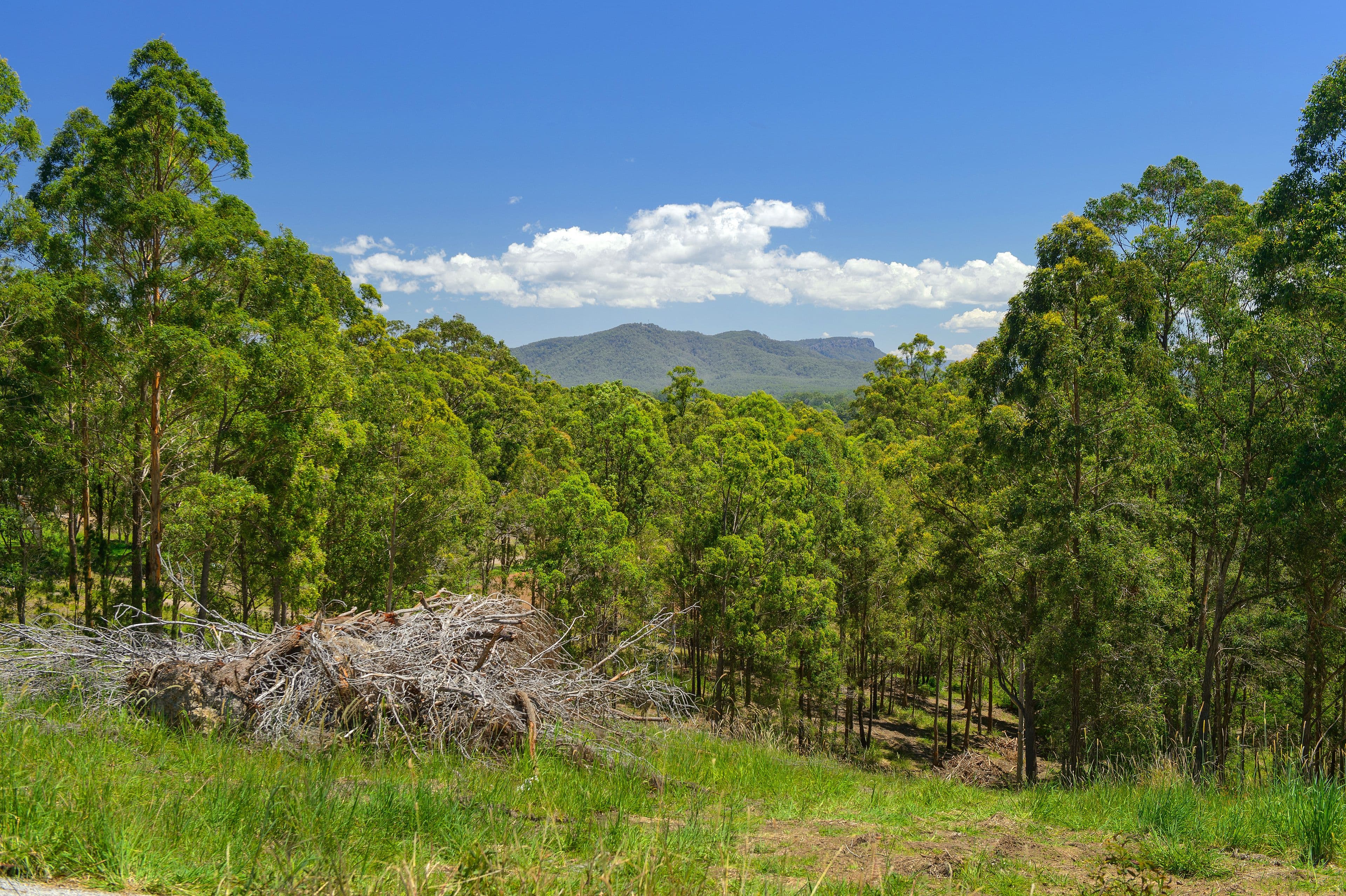 29 Rawdon Island Road, Sancrox NSW 2446, Sancrox - Image 1