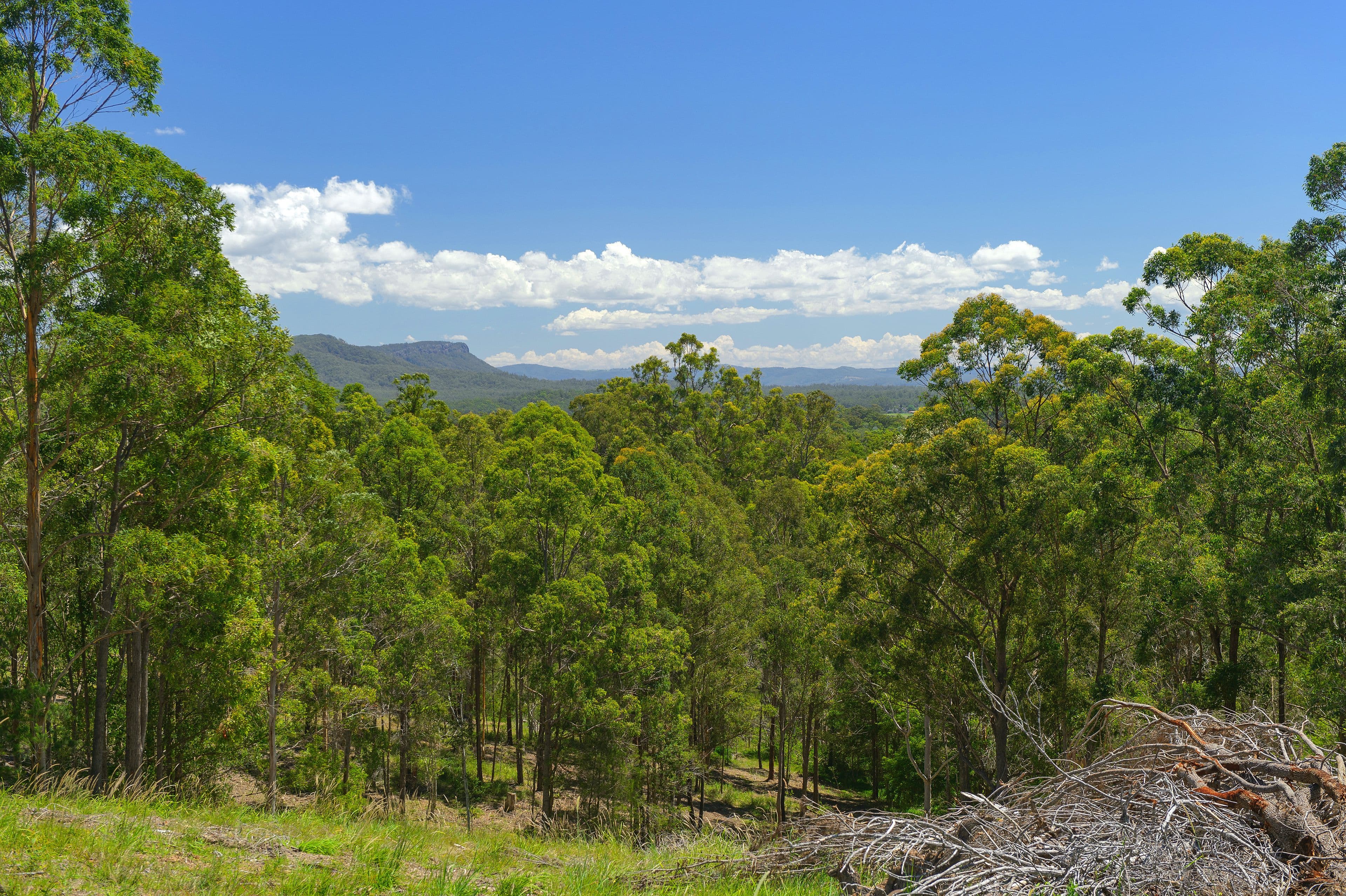 29 Rawdon Island Road, Sancrox NSW 2446, Sancrox - Thumbnail 2