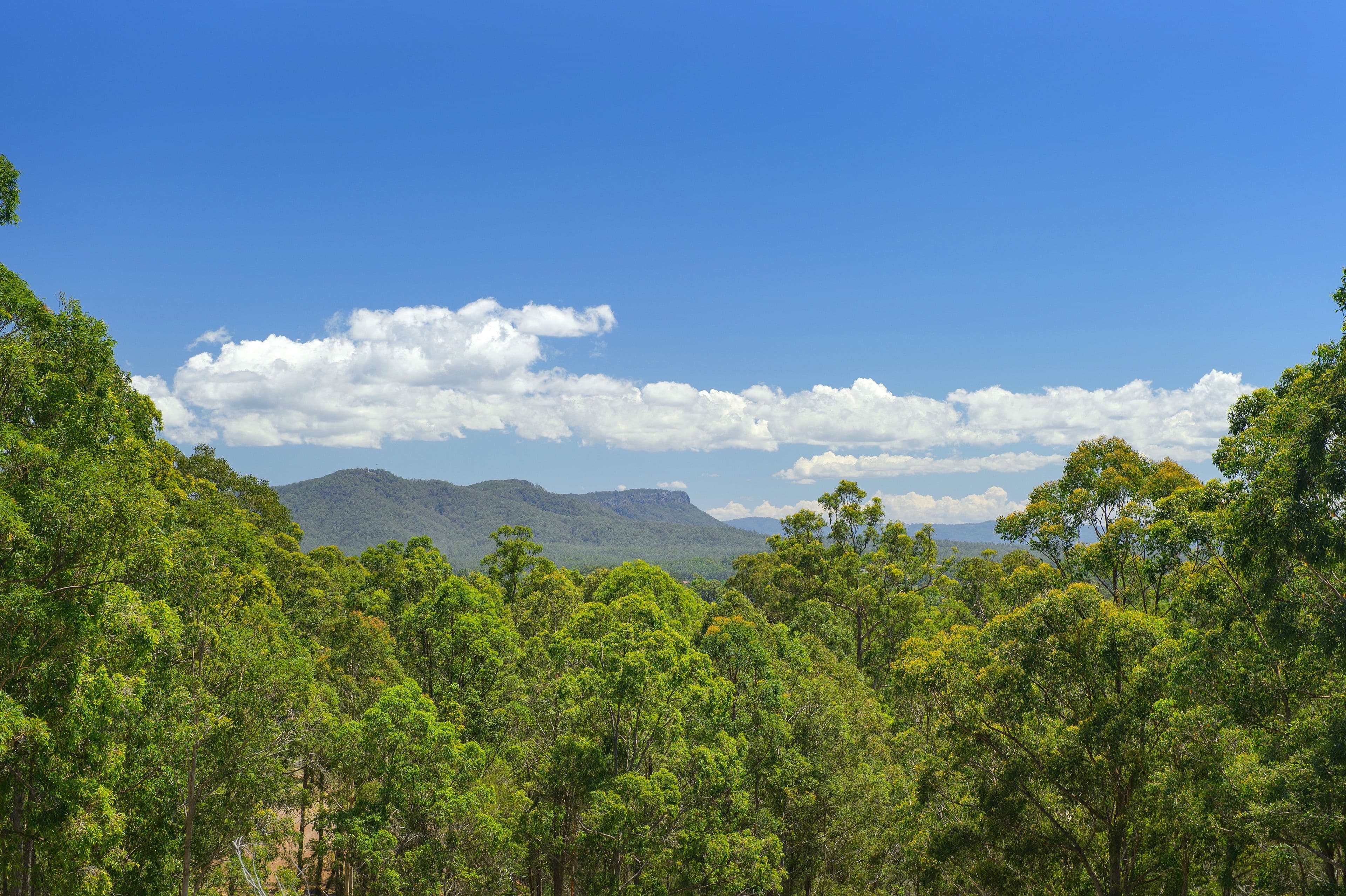 29 Rawdon Island Road, Sancrox NSW 2446, Sancrox - Thumbnail 3