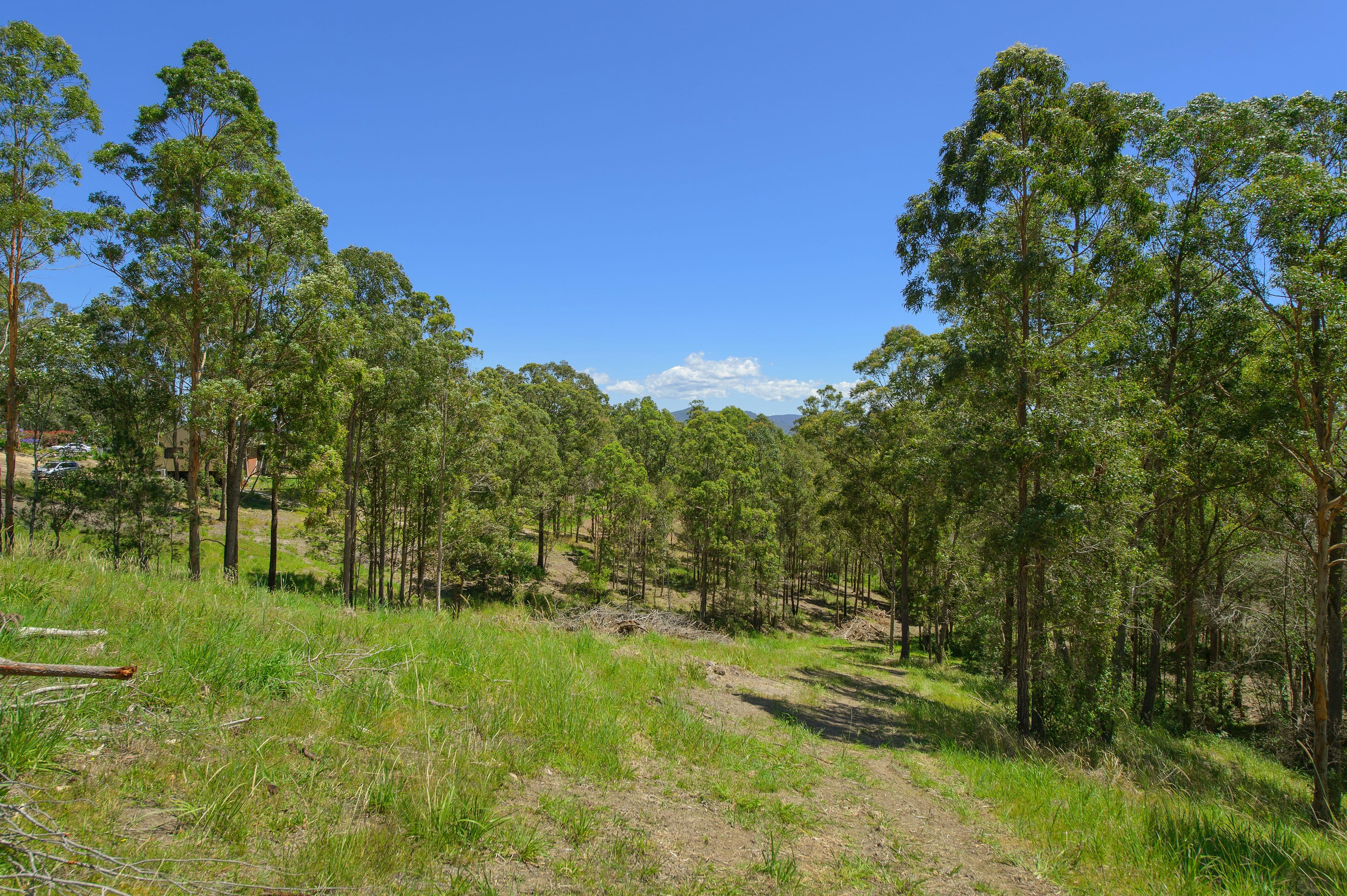 29 Rawdon Island Road, Sancrox NSW 2446, Sancrox - Thumbnail 5