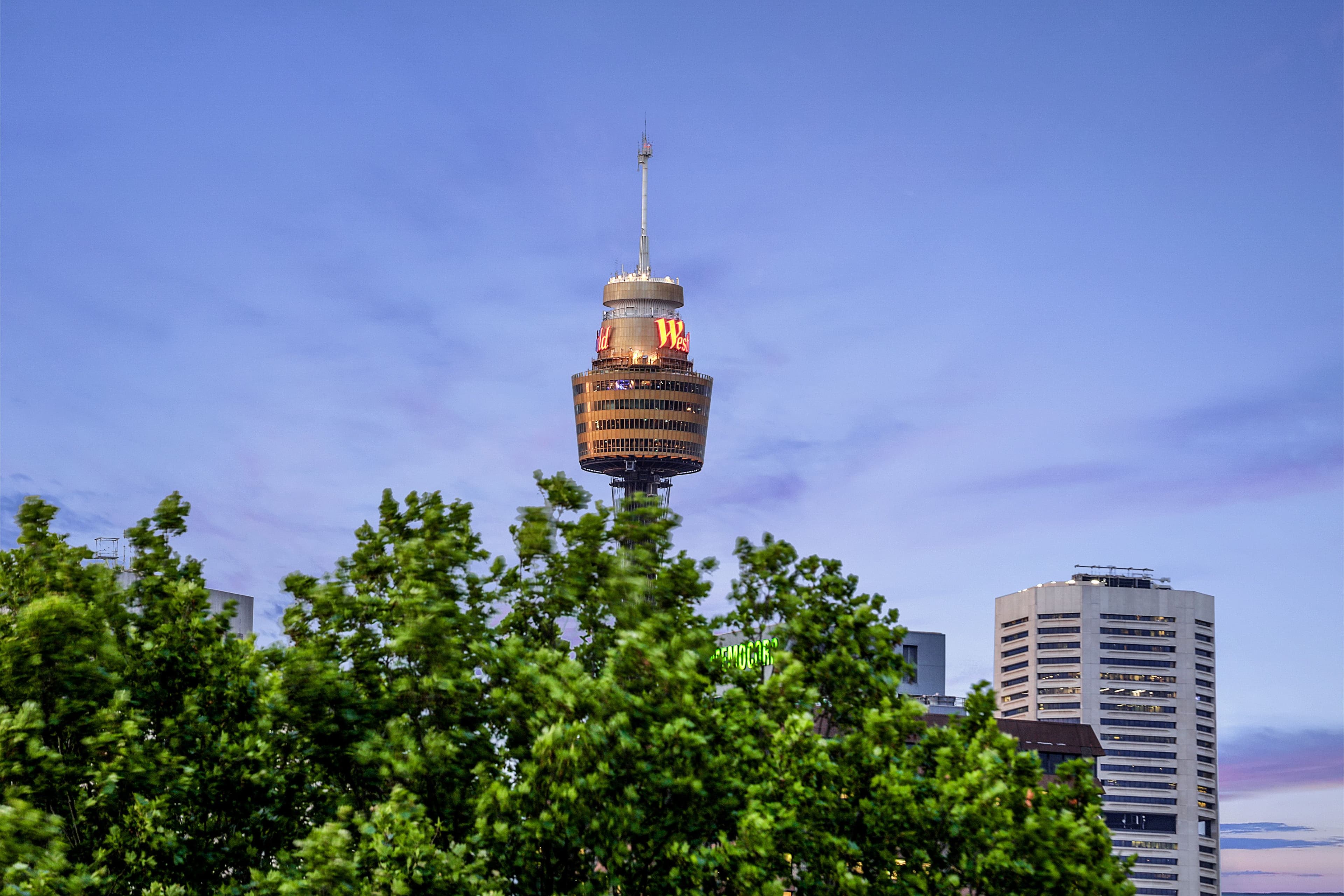 5 Jesmond Street, Surry Hills NSW 2010, Surry Hills - Thumbnail 7