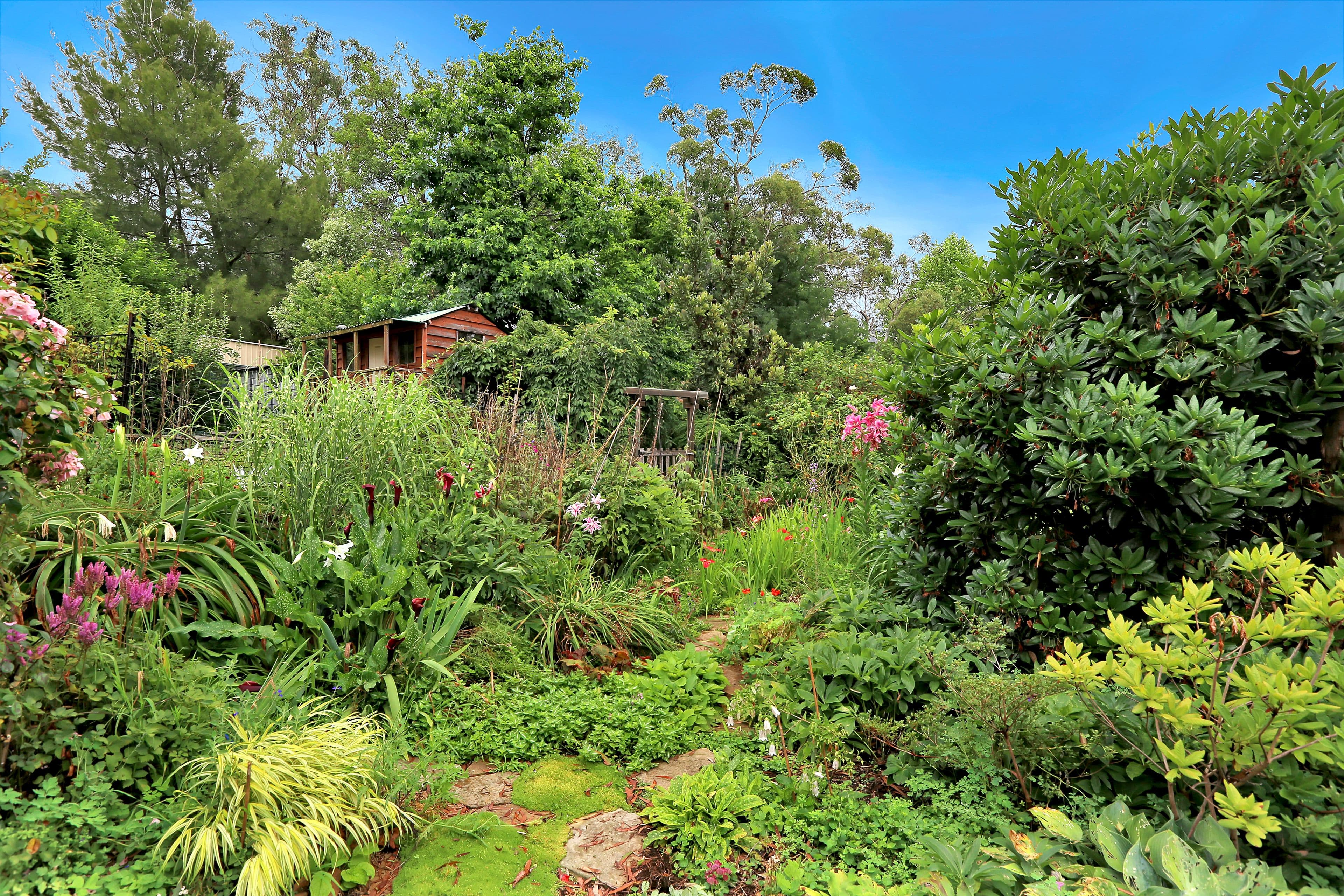 88 Minni Ha Ha Road, Katoomba - Thumbnail 6