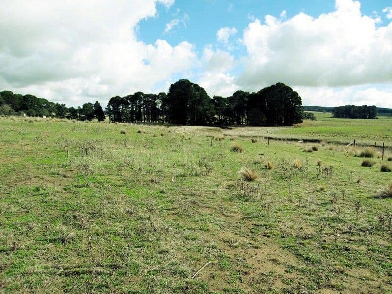 - Mt Fairy Road, BUNGENDORE NSW 2621, Bungendore - Thumbnail 2